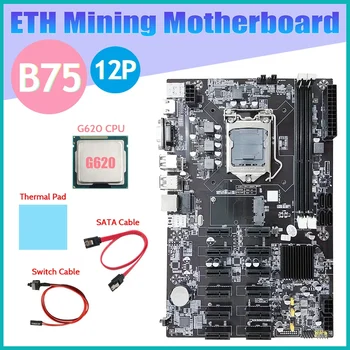 GORĄCA płyta główna do kopania B75 ETH 12 PCIE + cpu G620 + Kabel SATA + Kabel przełącznika + pastą 1155 płyta główna B75 BTC Miner